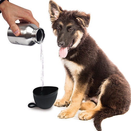 Bebedero portátil para perros – IL MIO PET