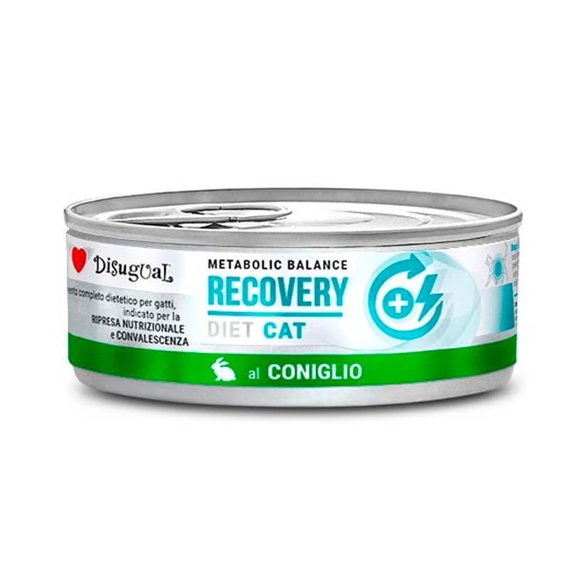 Disugual Recovery - Lata de Conejo para gatos