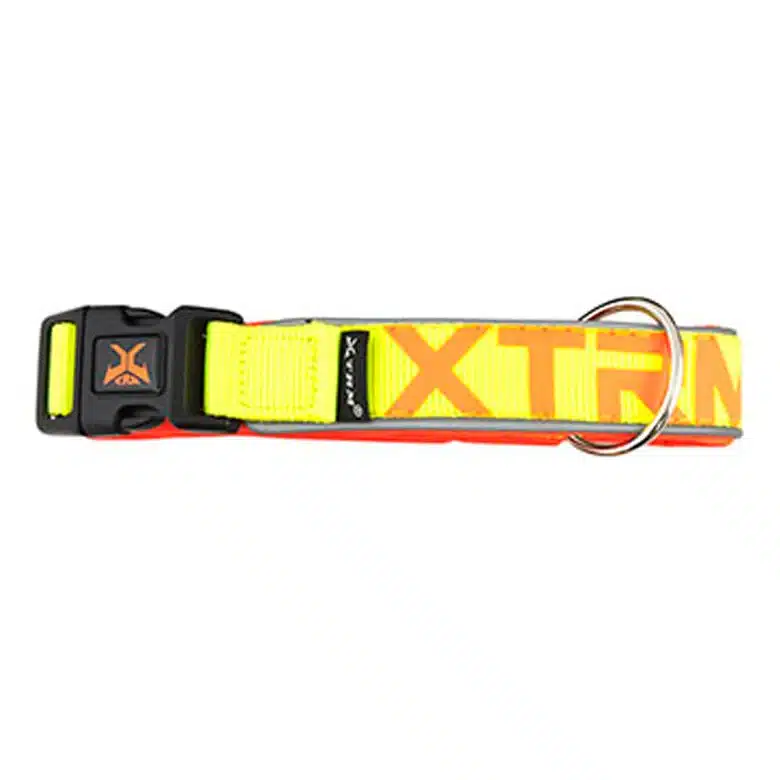 Collar Xtreme Neon Amarillo