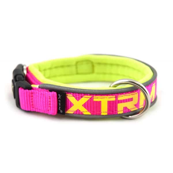 Collar Xtreme Neon Rosa